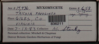 Image Associated With the Occurence